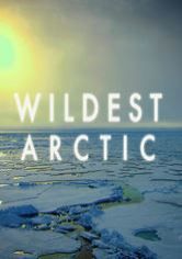 wildest arctic
